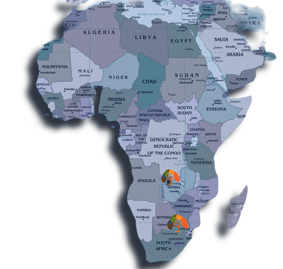 map-of-africa